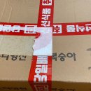 심복농장 네이버블로그