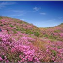 남운주유소 이미지