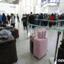 코로나 영향 불법체류자 자진출국 급증..'온라인 신고' 도입(종합) 이미지