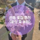 풍산농원 이미지