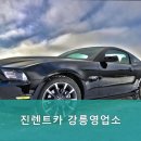 진렌트카강릉영업소 네이버블로그