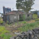 동광리-5 이미지