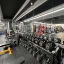 타이거 파라다이스 이미지