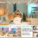 그루밍캐터리 이미지