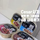 베스트아이캔학원 | 입맛 없던 우리 강아지도 순식간에 완밥! 시저 캔 필렛 인 그레이비 4종 솔직 후기