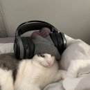 애월 고즈넉 이미지