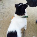 커피앤가든 이미지