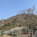 황산목장 이미지