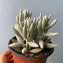 은월농장 이미지