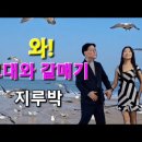 사교댄스 지르박 - with 홍재광회장님 이미지