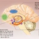 분노조절장애(간헐적폭발성장애) ,원인,방법 이미지