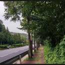 한성약업사 이미지