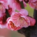 텅빈충만 이미지