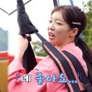 정선집