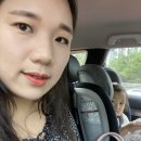 스테이 732 이미지