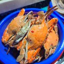 고기클라쓰