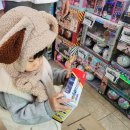 토이박사 | 저렴한 안성 장난감 매장 추천 [공도 토이박사 방문 후기]