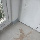 신환 | 군포 금정동 신환아파트 미리클린 입주청소 후기｜구축 아파트 깊은 오염 완전 제거