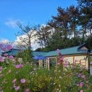마실길 | 태안에서 만난 정겨운 한옥 펜션, 마실길 후기