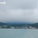 [전남/진도] 새때들을 보듬는 어머니의 섬, 조도(鳥島) 이미지