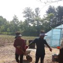 건희농장 이미지