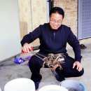 돌바위펜션민박 | 원산도 해수욕장 보령 숙소 원산도 펜션 민박 원산도 해루질 체험 서해 바다낚시 펜션 추천