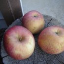 무심농장 이미지