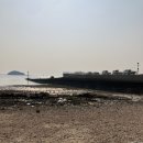 바위솔타운 이미지