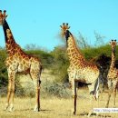 편작한의원 이미지