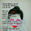 도운