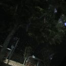 셀커크랜드 이미지