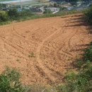 해안공인중개사사무소 이미지