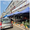 새순유치원 이미지