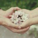 will be better 이미지