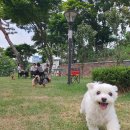 시온동물병원 이미지