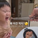 푸드위드 | 입짧은아기도 뚝딱 아이밥ㅣ위드잇 마미카세 부드러운 한우 37개월 솔직후기