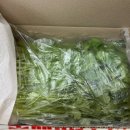 영미농장 이미지