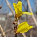 동음전자 이미지