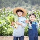 출렁다리농산물 이미지