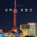 달그리고강 | 상하이 황푸강 유람선 예약 방법 와이탄 야경 20시 가이드 투어 후기 상해 가족여행 코스