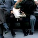 삼겹살에 소주한잔 이미지