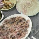 씨스페이스다대제일점 | 다대포 활어 재래시장 : ‘민영활어’ 5대양호 내돈내산 단골 횟집 활어 맛집 추천
