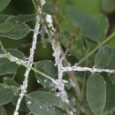 기주농장 이미지