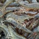 미광목장 이미지