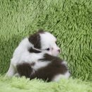 은아농장 이미지