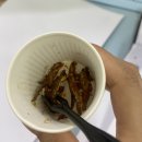 디저트39 남원춘향점 | 나는 엉망이야 그렇지만 너는 사랑의 마법을 사랑했지