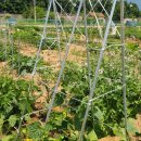 송촌농장 이미지