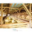 행진목장 이미지