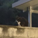 블럭하우스 | 담양 여행 숙소｜복층 독채 펜션 블럭하우스 솔직후기