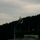 기러기민박 이미지